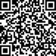Амортизатор кабины TEMPLIN 09.070.7950.165