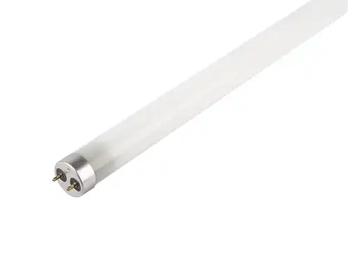 JAZZWAY 1032492