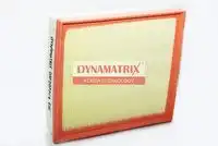 Фильтр воздушный DYNAMAX DAF2077/4