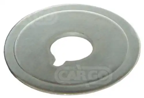  ШАЙБА 234463 CARGO