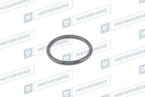 Кольцо рулевой рейки HR0540 MOTORHERZ