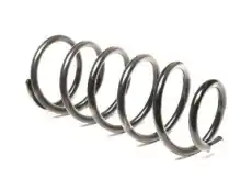 SPRING, COIL, RR 4823160E21 TOYOTA / LEXUS