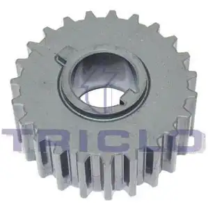 ШЕСТЕРНЯ КОЛЕНВАЛА 428858 TRICLO