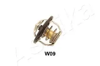 Термостат системы охлаждения ASHIKA 380WW09