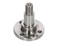 Цапфа задней оси H5S003BTA BTA