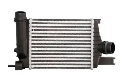 Патрубок воздушного радиатора DCX019TT THERMOTEC