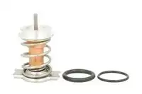 Водяной насос D1Y015TT THERMOTEC