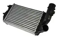 Интеркулер THERMOTEC DAF001TT