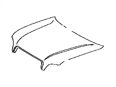 HOOD SUB-ASSY 533010C021 TOYOTA / LEXUS