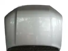 HOOD SUB-ASSY 53301-35200 TOYOTA / LEXUS