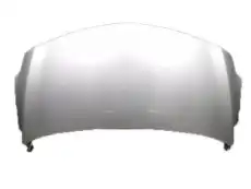 HOOD SUB-ASSY 53301-52251 TOYOTA / LEXUS