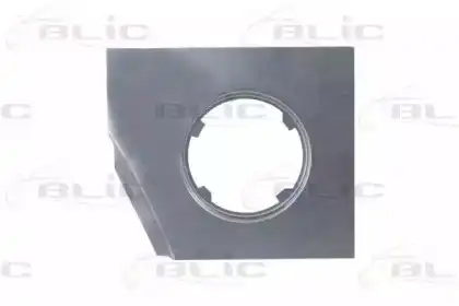 Ремкомплект 6508022505522P BLIC