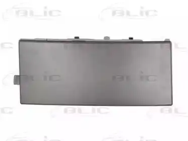 Элементы бампера 5513000057922P BLIC