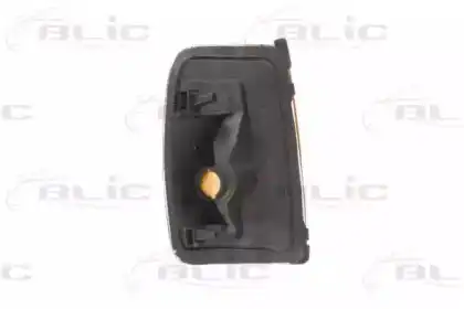 Side mirror indicator 54030305210Y BLIC