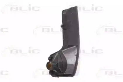 Side mirror indicator 540330004106C BLIC