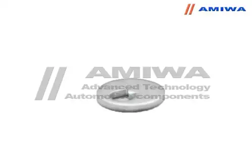 ЭКСЦЕНТРИК (AMIWA/01233102)
