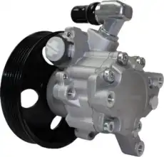 Насос гидроусилителя руля MOTORHERZ P1029RB