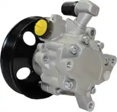 Насос гидроусилителя руля MOTORHERZ P1110RB