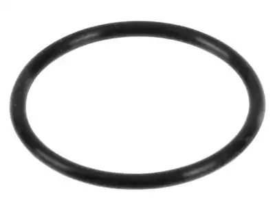 КОЛЬЦО 15059-V5001 NISSAN