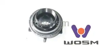 WOSM G013