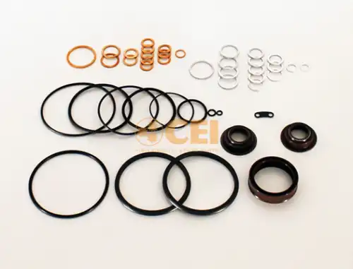 Oil Seal Kit 298.881 CEI