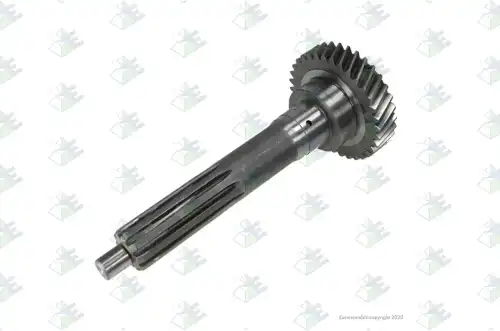 Input shaft 34 T 95700012 EURORICAMBI