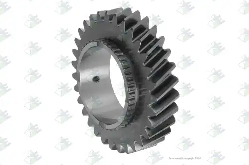 Gear 3rd Speed 31 T 35510210 EURORICAMBI