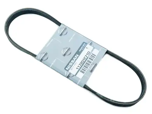 NISSAN 117202F205