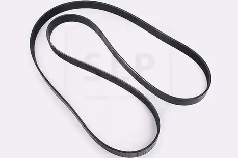 MULTI-RIB BELT DB-800538 SLP