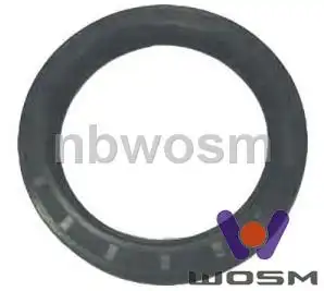 Сальник MAN 100х130х13 B121 WOSM