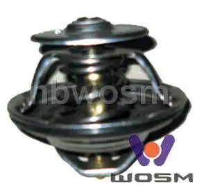 Термостат системы охлаждения WOSM E028