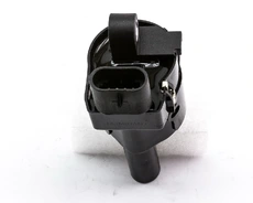 Катушка зажигания DOMINANT GM125703190
