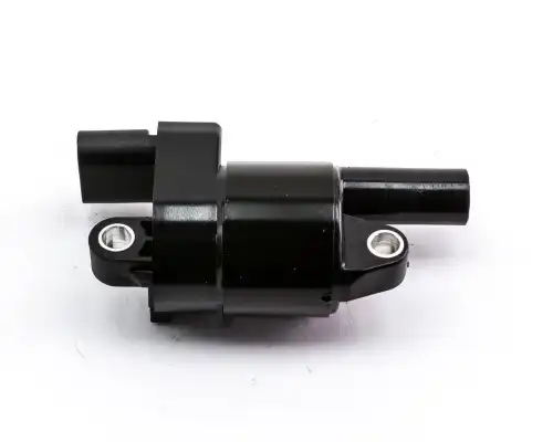Катушка зажигания DOMINANT GM125703190