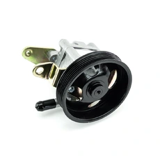 Насос гидроусилителя руля DOMINANT NS4901102NA00