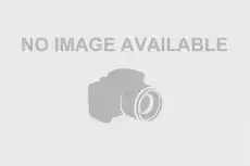 https://img.armtek.ru/img/article/149/14993117/230x230/14993117_0.webp