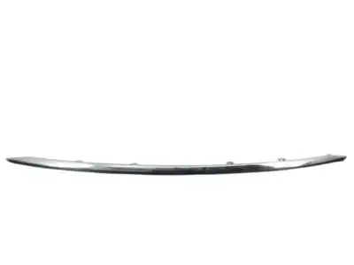 MOULDING-FRONT 620724BA0A NISSAN
