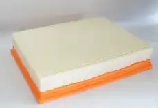 Фильтр воздушный FORTECH FA243