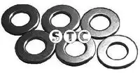 T402051 Уплотнительное кольцо пробки STC
