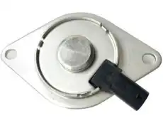 Elektroventil 55562223 CHEVROLET