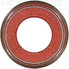 деталь 70-11326-00 VICTOR REINZ