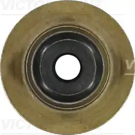 деталь 70-54269-00 VICTOR REINZ
