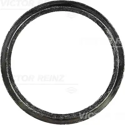 деталь 71-23972-20 VICTOR REINZ