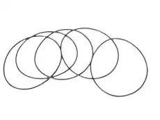 Engine Water Pump Backing Plate Gasket 12551905 GMC