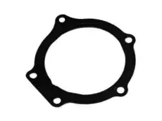 Water Pump Gasket 24576956 GMC