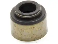 Valve Stem Seal 10212810 GMC