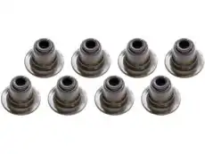 Valve Stem Seal 12482063 GMC