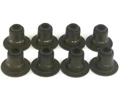 Valve Stem Seal 12482063 GMC