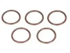 Multi Purpose O-Ring 10476885 GMC