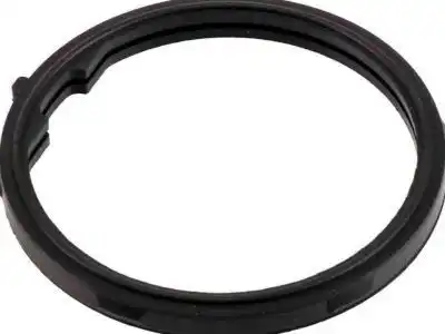 Engine Coolant Thermostat Gasket 12587397 GMC