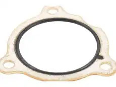 Engine Variable Timing Sensor Seal 12594339 GMC